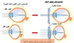 20240121 005626 0000 1 المدونة