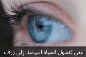 20240125 213756 0000 المدونة