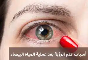 المدونة 1 1000244726 المدونة