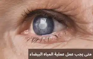 المدونة 4 1000244813 المدونة