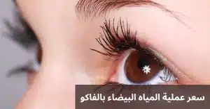 المدونة 2 1000274851 المدونة