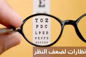 المدونة 1 1000277769 المدونة