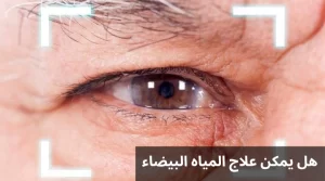 المدونة 3 1000283044 المدونة