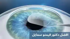 1000287054 المدونة