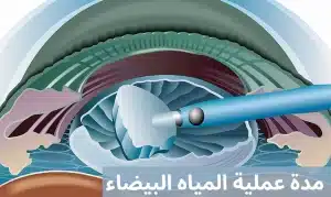 1000290116 المدونة