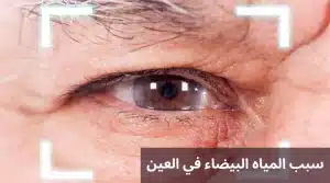 المدونة 4 1000291350 المدونة