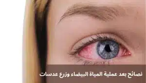 المدونة 2 1000292058 المدونة