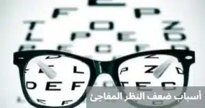 المدونة 3 1000294060 المدونة