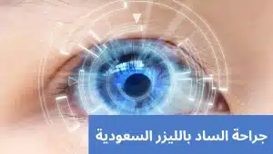 1000306639 المدونة