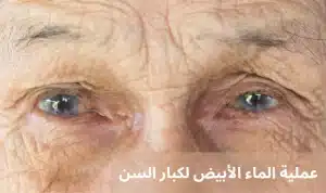 1000312963 المدونة