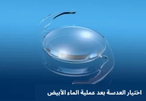 1000314426 المدونة