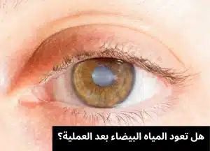 1000336345 المدونة