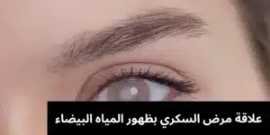 1000345657 المدونة