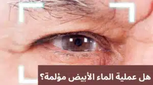 1000346563 المدونة