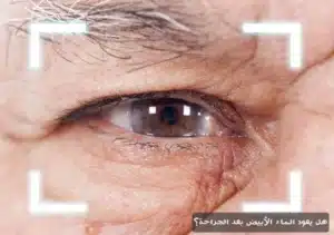 1000369430 المدونة