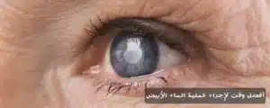 1000379568 المدونة