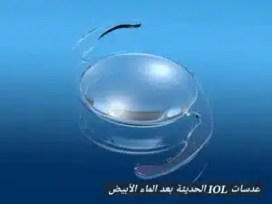 1000412794 المدونة