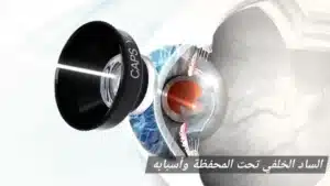 المدونة 1 1000450080 المدونة