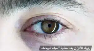 المدونة 3 1000451261 المدونة